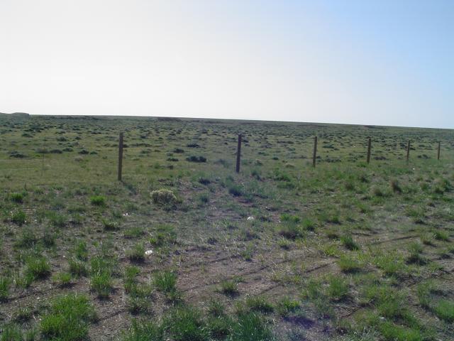 DSC00737